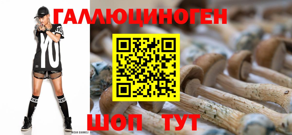 Галлюциногенные грибы Psilocybine cubensis Белебей