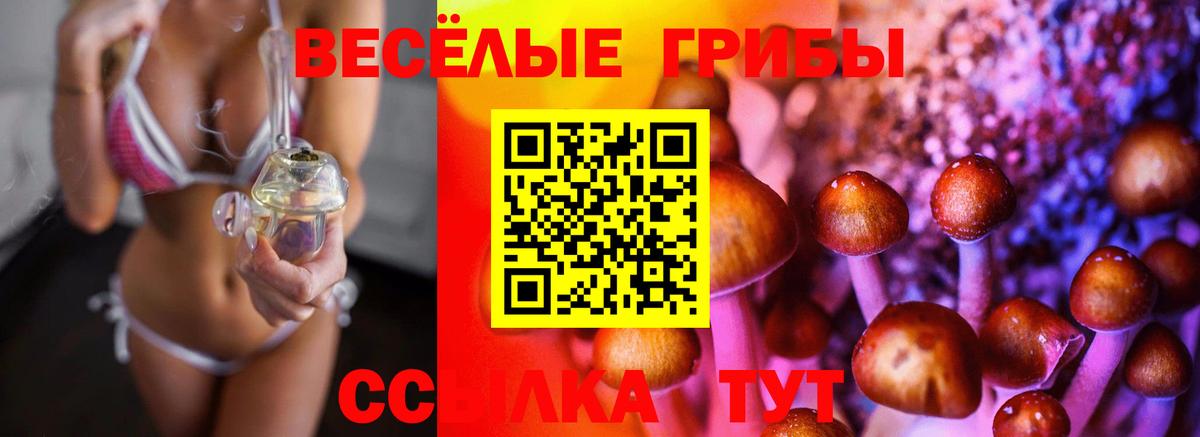 Белебей  Псилоцибиновые грибы прущие грибы  наркотики  Вход с VPN 